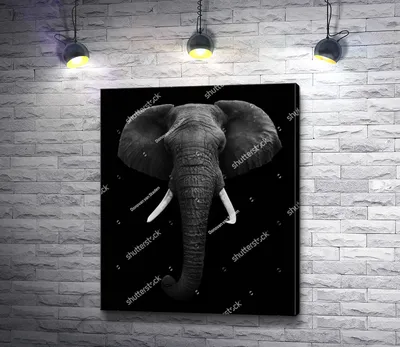 Картина \"Слон с большими бивнями \" | Интернет-магазин картин \"АртФактор\"