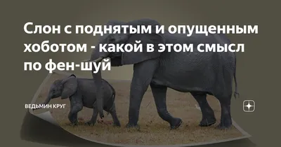 lilovyi_gnom - Желтый слонёнок. А вы знали, что Слон с опущенным хоботом  символизирует возможность хозяев иметь детей. Такую фигурку нередко  специально дарят супругам, мечтающим о ребенке. Ее нужно разместить в  западном секторе