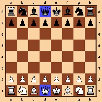 Слон шахматы рисунок - 45 фото