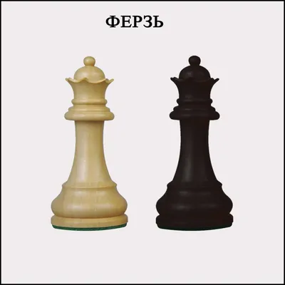Слон - Шахматный Словарь - Chess.com