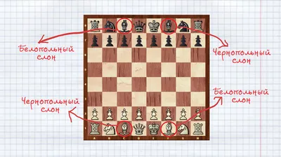 Как ходят шахматные фигуры? | Академия Шахмат Жансаи Абдумалик - г. Алматы