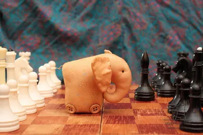 Слон и ладья в шахматах - 32 фото