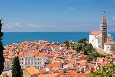 Картинки Церковь Словения Istrian Peninsula, Piran Море 5044x3363