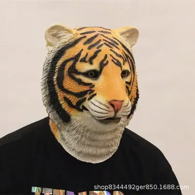 Смешной маленький тигр стоковое фото. изображение насчитывающей рост -  82948418