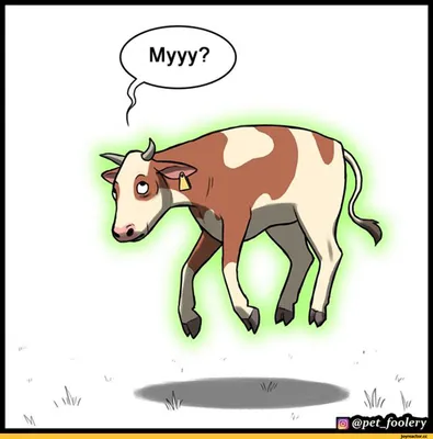 черный юмор :: коровы :: картинки / смешные картинки и другие приколы:  комиксы, гиф анимация, видео, лучший интеллектуальный юмор.