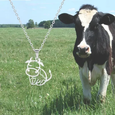 Смешные черно-белые коровы на ферме Стоковое Изображение - изображение  насчитывающей трава, лето: 197601347