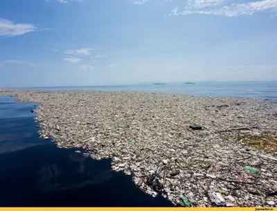 Смешные фото из жизни отдыхающих... Правила отдыха на море | МОРЕ-МОРЕ |  Дзен