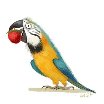 Смешные животные говорящие попугаи - 70 фото