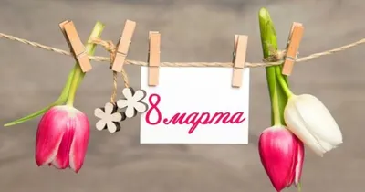Прикольные поздравления с 8 марта подруге в международный женский день  короткие красивые видео — Видео | ВКонтакте