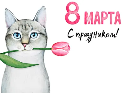 C 8 марта дорогие любительницы... - Смешные коты/ Funny cats | Facebook