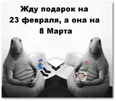 Жду подарок на 23 февраля, а она на 8 Марта #сарказм #подарок #8марта  #23февраля #приколы | Надписи, Картинки, Карикатура