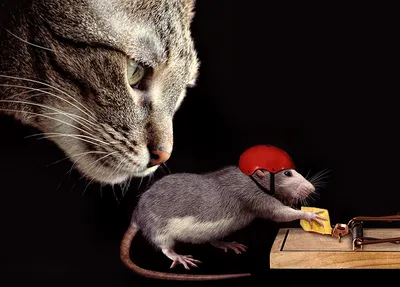 Иллюстрация смешная крыса в стиле 3d, cg, game dev |