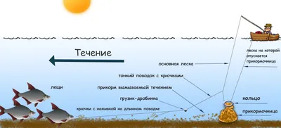 Автоматическая катапульта, рыболовный крючок, автоматические крючки для  крючков, подпружиненные регулируемые ловушки для рыбалки на льду и море |  AliExpress