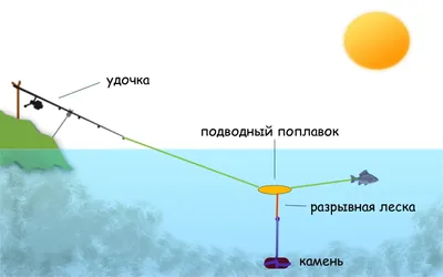 Ловля сома летом: подбор оснасток и приманок...