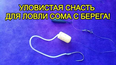 ЛОВЛЯ СОМА! Уловистая снасть для ловли сома с берега! Монтаж для ловли сома  с берега! | Ловим рыбу | Дзен