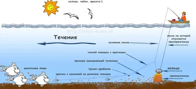 Ловля на кольцо .Тонкости оснастки. | Рыбалка 47 регион . | Дзен