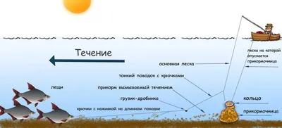 Как ловить леща на кольцо с лодки. Оснастка, техника ловли