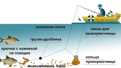 Рыболовная снасть яйца: состав, снаряжение, монтаж и техника ловли | Бадис