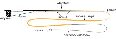 Нахлыстовая снасть - Интернет-клуб нахлыстовиков