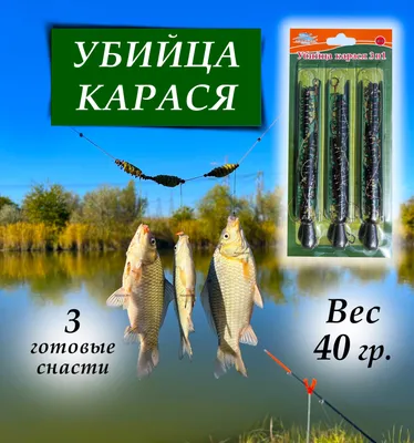 Фидер / Снасть \"Убийца карася\" 40гр. - 3шт. / Донная(донка) оснастка на  карася, карпа, амура, леща, плотву - купить с доставкой по выгодным ценам в  интернет-магазине OZON (630025344)