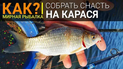 Как собрать снасть на карася? Ловля на поплавочную удочку в камыше. -  YouTube