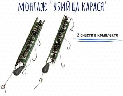 Снасть \"Убийца карася\" 40 г. - 2 шт. - купить по выгодной цене в  интернет-магазине OZON (1046452558)