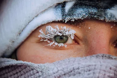 Красивый Открытый Глаз Голубой Морозом Снегом Зимой Ресницах Отражение  Золотого стоковое фото ©LedyX 506544298