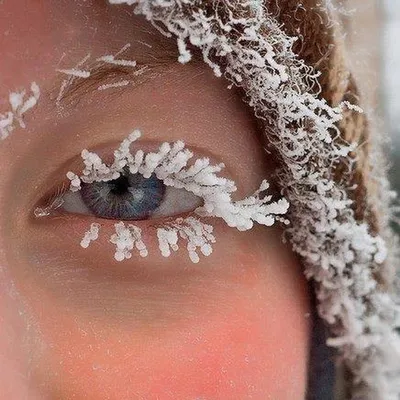 Ледяной взгляд: снег на ресницах | Снег на ресницах Фото №1368174 скачать