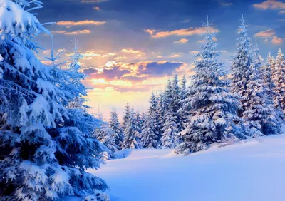 картинки : пейзаж, дерево, природа, лес, на открытом воздухе, гора, снег,  холодно, зима, небо, белый, мороз, Сосновый, Дикий, Лед, парк, Погода,  Снегоступах, Замороженный, время года, Снежинка, Снегопад, обувь, Декабрь,  Замораживание, никто 4000x2660 - -