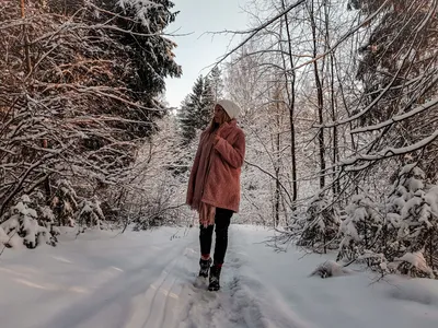 В глушь зимнего леса / Снега насыпало много в январском лесу