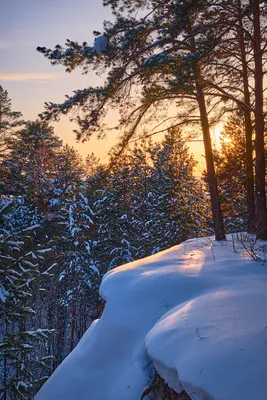 Хижина в лесу зима идёт снег в…» — создано в Шедевруме