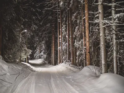 Садовый гном снег в лесу изображение_Фото номер 501440381_JPG Формат  изображения_ru.lovepik.com