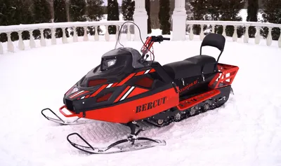 Снегоход Беркут - купить по цене - 305800 руб от производителя |  Интернет-магазин СнегоТехника в Рыбинске