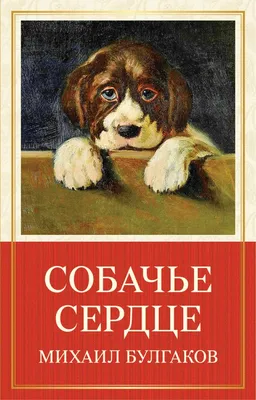 Неизвестные известные: судьба актеров из фильма «Собачье сердце» |  КиноНытик | Дзен