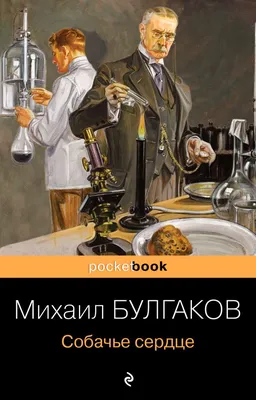 Собачье сердце\": Правда или вымысел? Реальность против \"Голливуда\" |  Киновед в штатском | Дзен