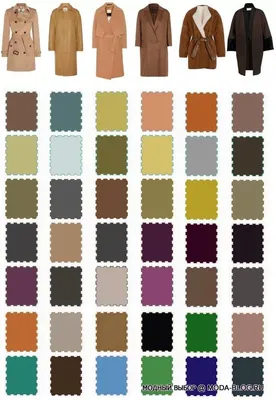 Сочетание коричневого цвета в одежде - советы по комбинации коричневого с  другими цветами