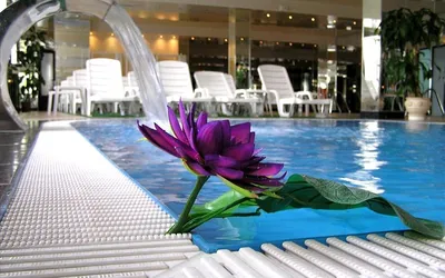 Sochi-Breeze Spa Hotel, Russia - Booking.com