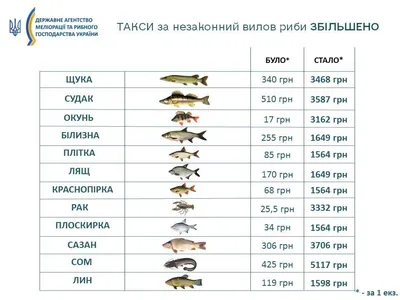 Опасна ли рыба? - Статьи о рыбалке