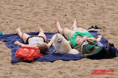 Аллергия на солнце: симптомы, причины и профилактика фотодерматоза