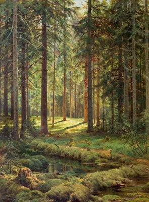 Солнечный лес :: Александр Гапоненко – Социальная сеть ФотоКто