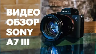 Обзор Sony A7 II (ILCE-7M2) с примерами фото и видео | Иди и снимай | Дзен