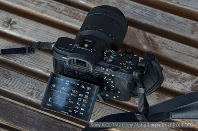 Обзор Sony A7 II (ILCE-7M2) с примерами фото и видео | Иди, и снимай!