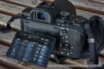 Прибор ночного видения. Обзор фотокамеры Sony Alpha A7S II — Ferra.ru