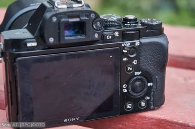 Обзор Sony A7 II (ILCE-7M2) с примерами фото и видео | Иди и снимай | Дзен