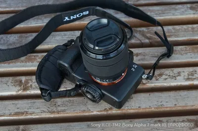 Sony a7 III: примеры снимков