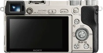 Заметные улучшения. Обзор беззеркальной камеры Sony Alpha а6000 — Ferra.ru