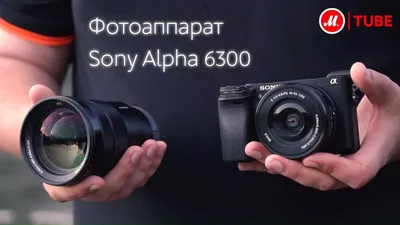 Стоит ли покупать Фотоаппарат Sony Alpha ILCE-6000 Body? Отзывы на Яндекс  Маркете