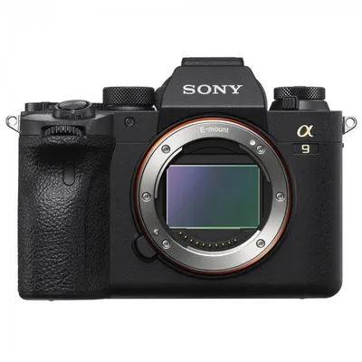 Примеры снимков на камеру Sony A7C - Photar.ru
