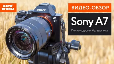 Sony Alpha A7 II пример фотографии 262452895