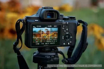 Обзор камеры Sony A7 III: неделя с экспертом